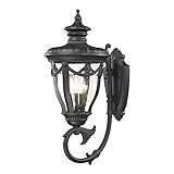 Elk Lighting 45077/3 Anise Collection 1 Light Outdoor Sconce, Textured Matte Black [並行輸入品]