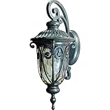 Yosemite Home Decor 519MDIORB Viviana 1-Light Wall Sconce with Gold Stone Glass [並行輸入品]