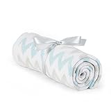 DEMDACO Chenille Baby Blanket, Blue Chevron by Demdaco