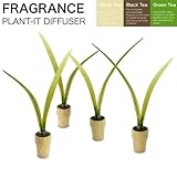 ルームフレグランスPLANT-IT DIFFUSER アロマオイル アロマディフューザー 芳香剤/ブラックティー