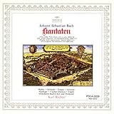 �J���^�[�^�W22