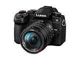 パナソニック (Panasonic) ミラーレス一眼カメラ LIMIX 高倍率ズームレンズキット DC-G99M2H
