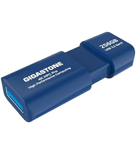 Amazon.co.jp: GIGASTONE 512GB Flash USB メモリ Z60 USB 3.0, 120MB