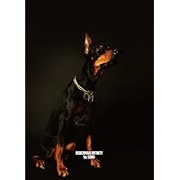 Amazon.co.jp: 1st SONG(CD+DVD)(初回生産限定) - DOBERMAN