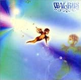 ���̃J�P��