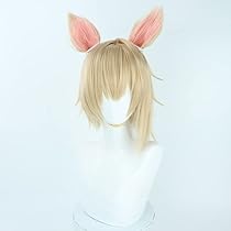 Amazon.co.jp: 胡桃のあ コスプレウィッグ バーチャル VTuber ぶ