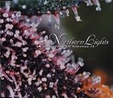 �A���X�e���_���E�J�t�F�E�Z���N�V����#2