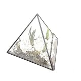 Geometric Terrarium ガラス ポリゴン 　ミニピラミッド　幾何 ジオ　テラリウム 植木鉢 多肉植物 ミニ景観 盆栽 プランター モス 苔 コケ モストレ サボテン ファーン フラワー