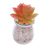 Homyl 人工多肉植物　ミニ鉢植え　オフィス家　装飾　インテリア　3色選べる - オレンジ