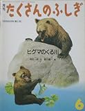 月刊 たくさんのふしぎ　ヒグマのくる川　1989年 06月号（第51号） [雑誌]