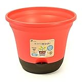 リッチェル 底面給水鉢 ウルオポット 30型 夏季限定色 ピンク P