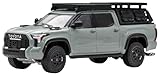 フリースタイル (FREESTYLE) GCD 1/64 トヨタ タンドラ TRD PRO ルナロック DiecastTalk特注品 ※ルーフラック&アクセサリー付属 完成品 DTG0023-LR