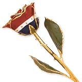 Long Stem Dipped 24k Gold Trim Liberty Rose In Gold Gift Box by Allmygold Jewelers [並行輸入品]