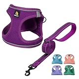 BELLA & PAL ステップインベストハーネス 小中型犬用 引っ張りなし 小型犬用ハーネス リーシュセット付き 快適なエアメッシュ 犬用ベストハーネス 反射ストリップ付き (グレープパープル、XXS)