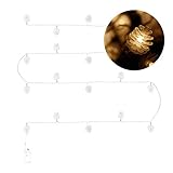 Zhaozhe装飾ライト LEDストリングライト ジュエリーライト 電池式 雰囲気作り エキナセア クリスマス パーティー (3M20LED, ウォームホワイト)