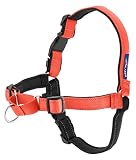 PetSafe（ペットセーフ） デラックス イージーウォークハーネス 犬用 引っ張り防止 散歩 トレーニング用ハーネス 【MLサイズ／ローズレッド×ブラック】