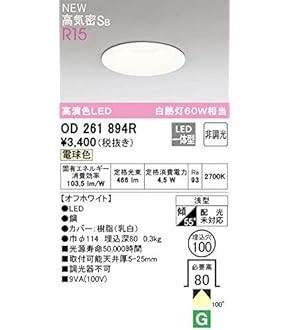 OD261893R ODELIC ダウンライト　新品9個セット OD261893R ODELIC ダウンライト 新品9個セット ODELIC