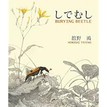 ソロ沼のものがたり | 舘野 鴻 |本 | 通販 | Amazon