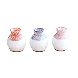 Lovoski プラスチック製　マイクロ景観置物　花瓶　DIY　植木鉢　工芸品　装飾　３個入り