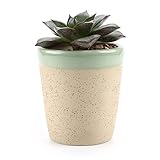 T4U 8.2CM 粘土 ミニ植木鉢 艶塗り ラウンドカップシェイプ 多肉植物 サボテン鉢 フラワーポット プランター容器　クリーム色