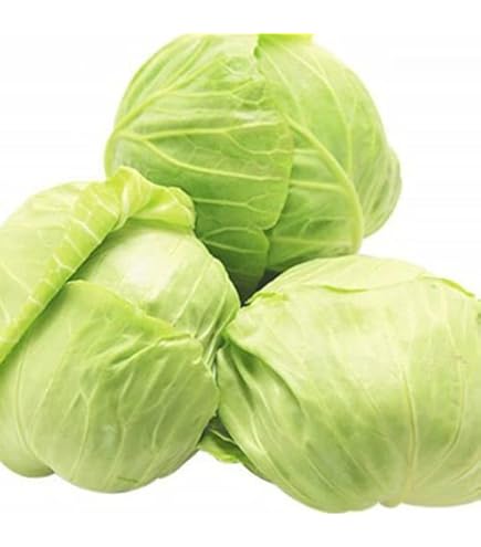 Amazon.co.jp: 訳あり キャベツ きゃべつ サラダ お好み焼き 炒め 焼肉