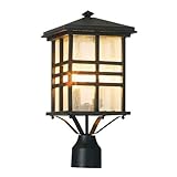 Trans Globe Lighting 4639 BK 2-Light Post Lantern, Black [並行輸入品]