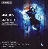 �V�x���E�X:�A���_���e�E�t�F�X�e�B�[���H