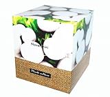 プラントキュルチュア コカブ