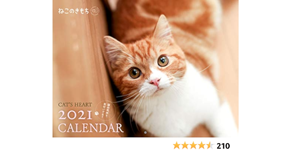 Amazon Co Jp ねこのきもち大判カレンダー21 ねこのきもち特別編集 文房具 オフィス用品