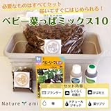 【ベビー菜っぱミックス10 菜園セット】 必要なものはすべてセット!初心者からお子様向けでカンタン。 誰でも簡単に短期間で収穫できます!