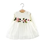 FEVON　ワンピース　子供　長袖　秋　冬　女の子　ベビー服　赤ちゃん　可愛い　チュール切り替え　花刺繍　おしゃれ　ふわふわ　キッズドレス　ガールズ　女児　出産祝い　入園式　卒園式
