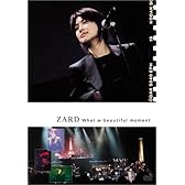 What a beautiful moment [DVD]