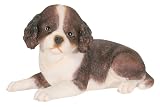 YTCサミット6625イングリッシュ・スプリンガー・スパニエルの子犬、C-96