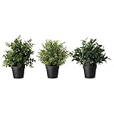 IKEA イケア FEJKA 人工観葉植物 501.919.93,50191993