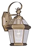 Livex Lighting 2061-01 Outdoor Wall Lantern with Clear Flat Glass Shades, Antique Brass [並行輸入品]
