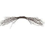 ~Coco Heart~ 簡単　白樺　ムーン（ブーメラン）　ベース　小（リース・ドライフラワー）