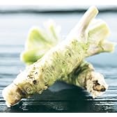信州・安曇野産 生ワサビ 5本セット
