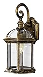 Trans Globe Lighting 4181 SWI Wentworth 16" Swedish Iron Wall Lantern [並行輸入品]
