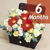 【フラワーファーム】　季節のアレンジ・エクセラ-6ヶ月定期便-　【花　ギフト・宅配・誕生日・プレゼント・翌日】