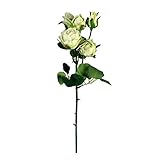 ローズスプレークローズド×5 FXFR0021GR