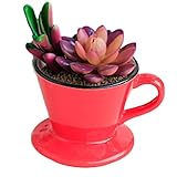 Outflower　植木鉢　おしゃれ　陶器　室内　安い　多肉植物　園芸用品　単品　装飾品　観葉植物　サボテン鉢　フラワーポット　プランター容器　コーヒーカップ　盆栽鉢　小型　スタンダードポット