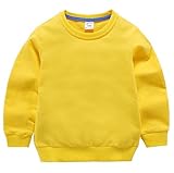 Fairy Baby ベビー服 パーカー トレーナー 長袖 子供服 無地 スウェット 薄手 男の子 女の子 通学 size 90 (イエロー)