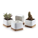 T4U 9.7CM 陶器鉢 白 スクエア NO.2 植木鉢 多肉植物 サボテン鉢 竹トレイ付き 4個入り