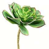 Shinoda Design Center 0031301162 2 Piece Faux Succulent Stem Set 6.5 Green【クリスマス】【ツリー】 [並行輸入品]