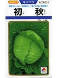 初秋 　タキイ種苗のキャベツです種です