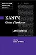Kant's Critique of Pure Reason: A Critical Guide (Cambridge Critical Guides)
