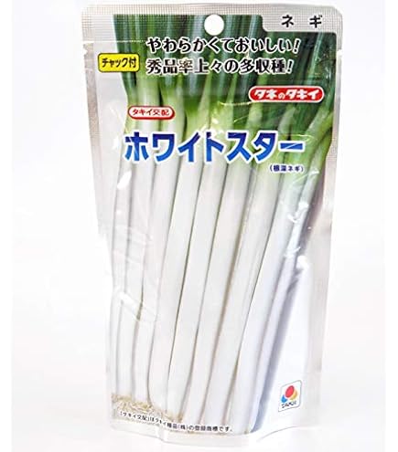 Amazon.co.jp: 〈5000粒〉ネギ種【 ホワイトツリー 】タキイ種苗 : DIY