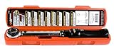 Performance Tool M196 1/4-Inch Dr 250 in/lb Torque Wrench [並行輸入品]