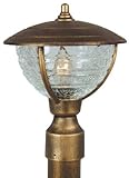 Special Lite Products Vista F-2910-BR/CR Medium Post Mount Light, Bronze [並行輸入品]
