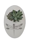 Creative Co-Op Ceramic Wall Flower Pot with Dragonfly, 4.5'L x 7'H [並行輸入品]